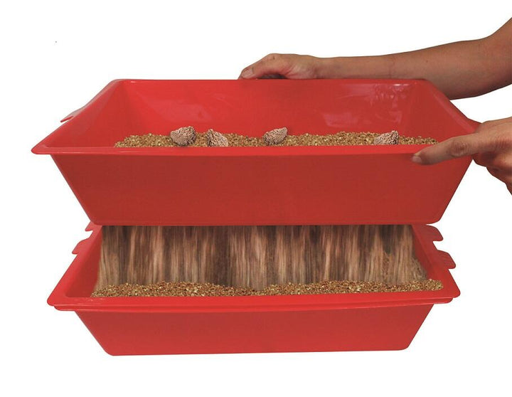 Sistema de Limpeza Inteligente ✨ 3 Tabuleiros de Peneiração Rápida 🐈