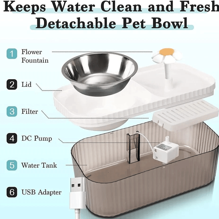 Kit de Alimentação Saudável 💧 Água Purificada & Postura Correta ✨