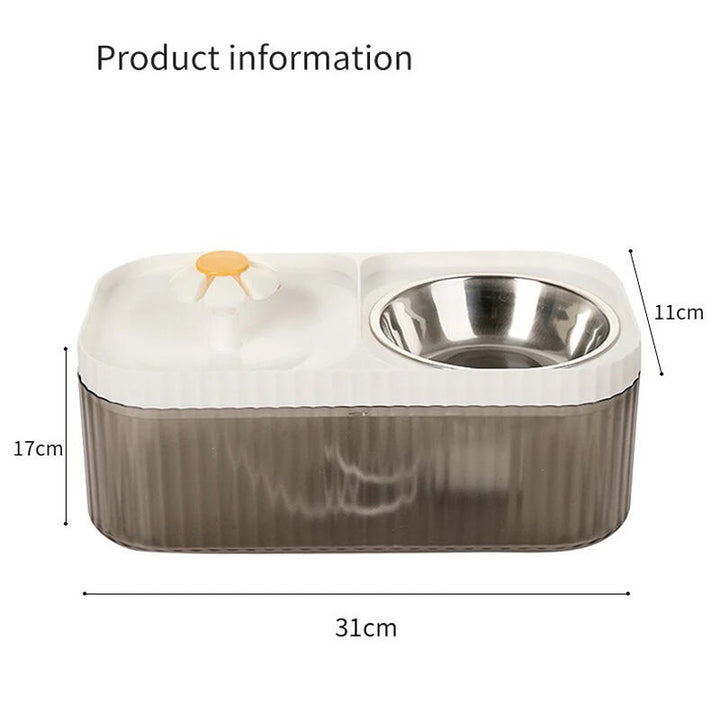 Kit de Alimentação Saudável 💧 Água Purificada & Postura Correta ✨