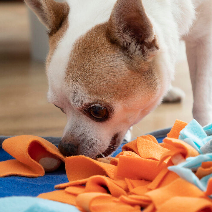 🧠 Tapete Olfativo Interativo para Mascotes: Treino e Diversão 🐾