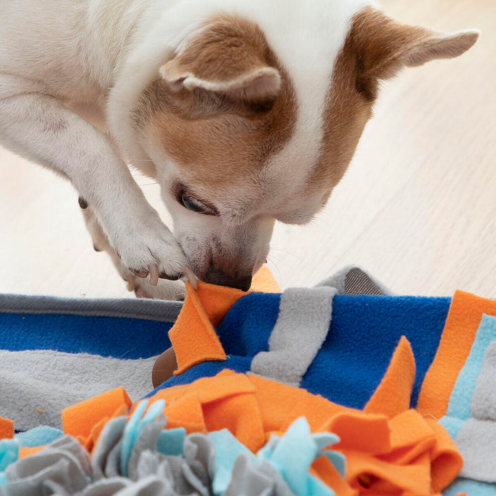 🧠 Tapete Olfativo Interativo para Mascotes: Treino e Diversão 🐾