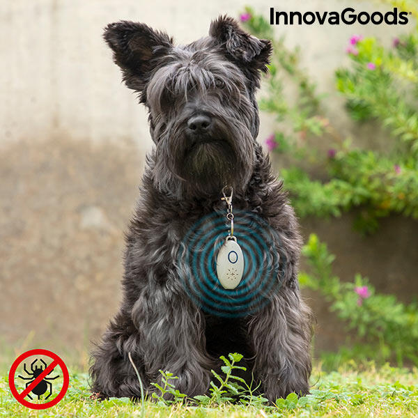 ✨🛡️ PROTEÇÃO MÁXIMA: Adeus Parasitas com Tecnologia Ultra! 🐶✨