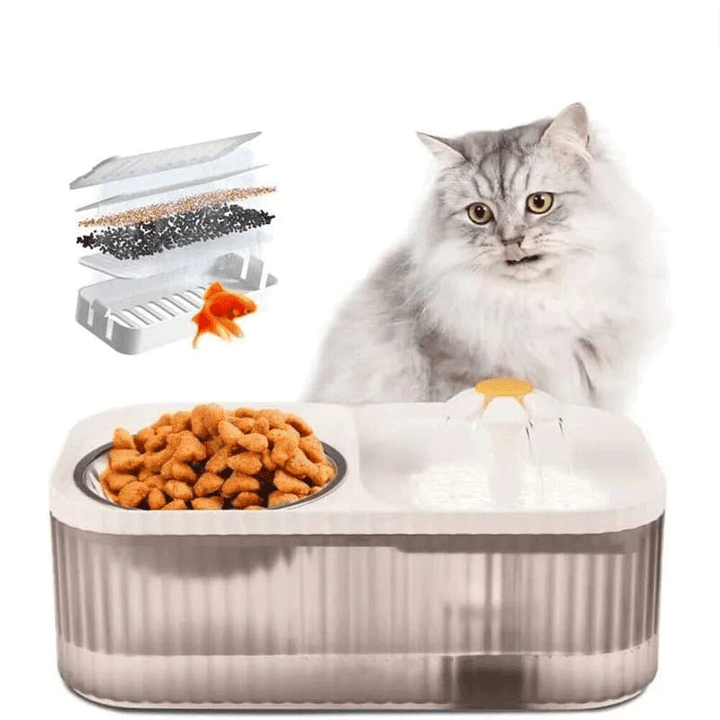 Kit de Alimentação Saudável 💧 Água Purificada & Postura Correta ✨