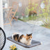 ✨ Rede de Janela para Gatos – O Miradouro de Luxo com Vista Infinita! ☀️