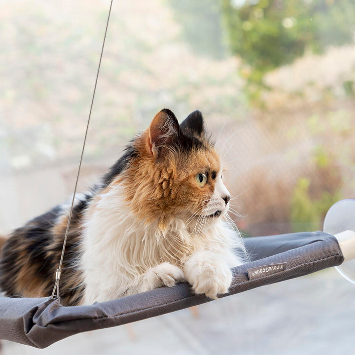 ✨ Rede de Janela para Gatos – O Miradouro de Luxo com Vista Infinita! ☀️