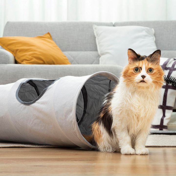 : 🐈 Túnel de Exploração Dobrável – O Esconderijo Perfeito! 🕵️