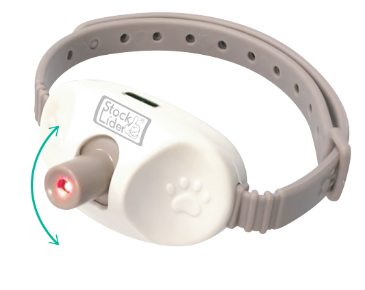 Coleira Laser Inteligente ✨ Brinquedo Interativo e Recarregável 🐈