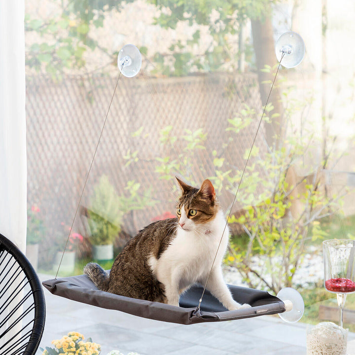 ✨ Rede de Janela para Gatos – O Miradouro de Luxo com Vista Infinita! ☀️