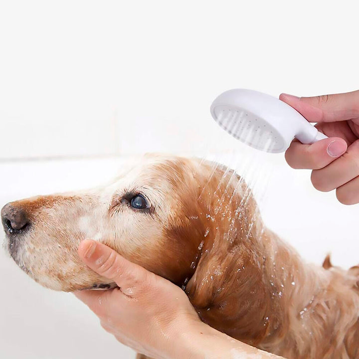 Chuveiro Portátil Multiusos ✨ Mangueira Flexível de 1,4m Adaptável 🚿