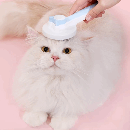 Escova de Limpeza Profunda 🐈 Remove Nós e Pelo Morto Facilmente ☁️