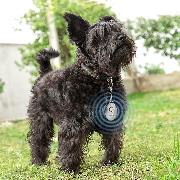 ✨🛡️ PROTEÇÃO MÁXIMA: Adeus Parasitas com Tecnologia Ultra! 🐶✨