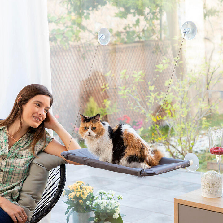 ✨ Rede de Janela para Gatos – O Miradouro de Luxo com Vista Infinita! ☀️