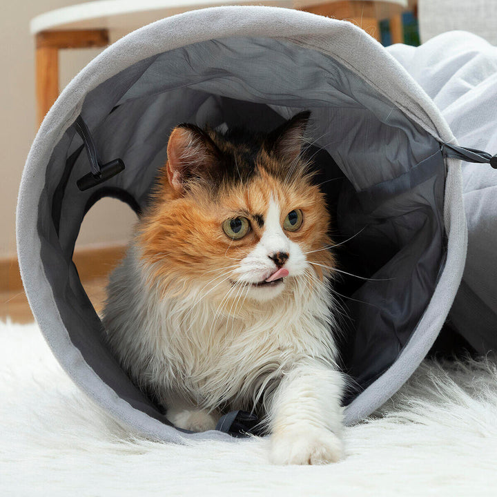 : 🐈 Túnel de Exploração Dobrável – O Esconderijo Perfeito! 🕵️
